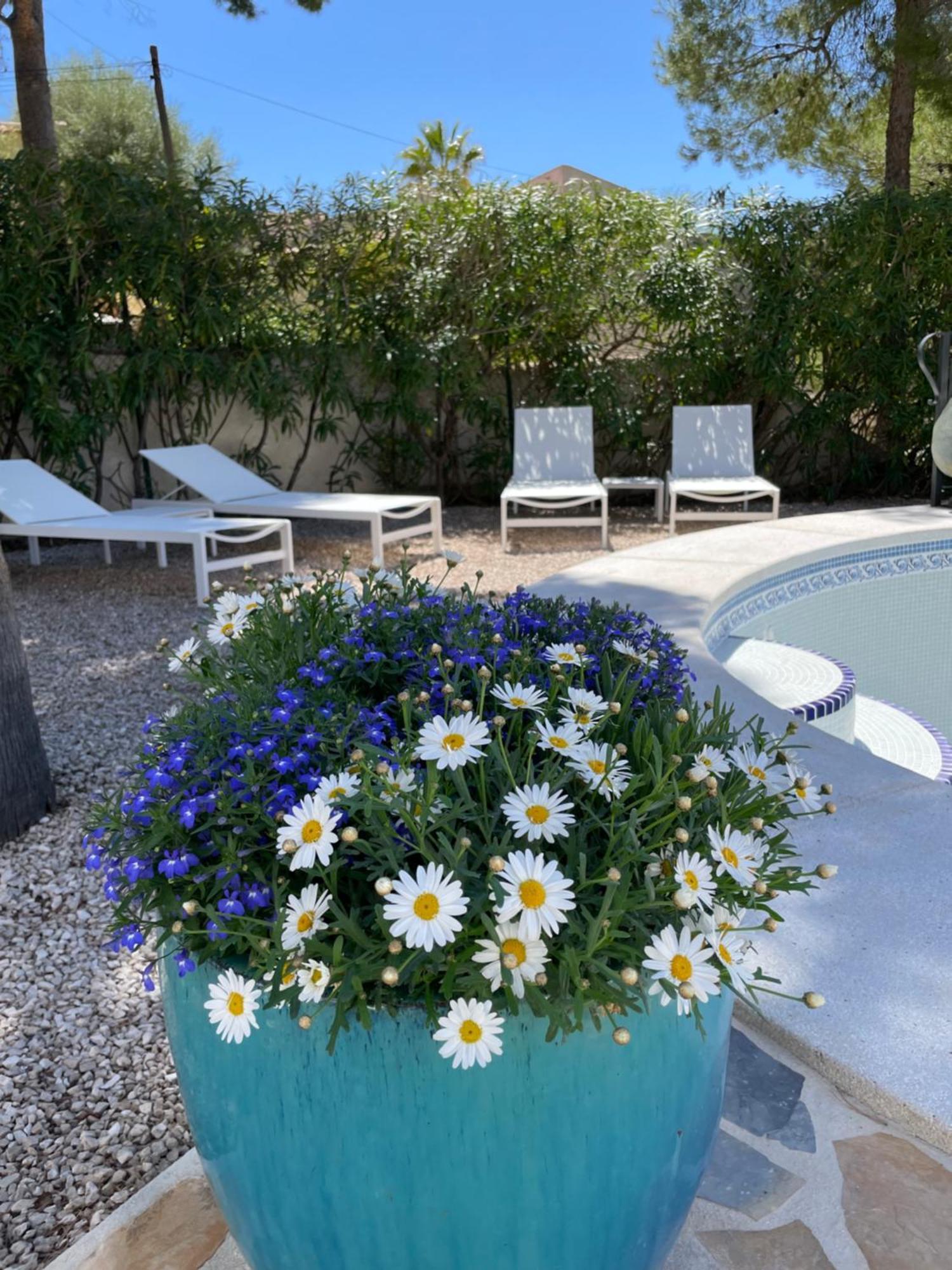Apartamento Casa Les Fremeaux Altea Exterior foto